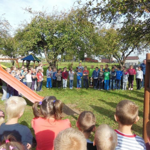 pokaż obrazek - 