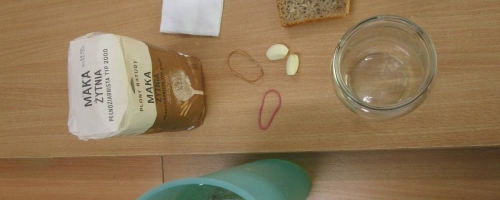 Nasi trzecioklasiści wiedzą, jak zrobić zakwas na żurek