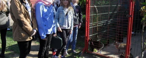 Warsztaty w Schronisku OTOZ Animals w Dąbrówce