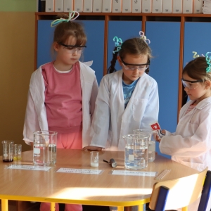 pokaż obrazek - Warsztaty edukacyjne