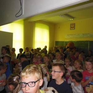 pokaż obrazek - 