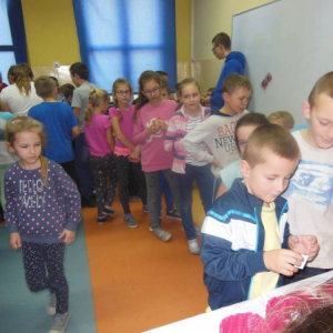 pokaż obrazek - 