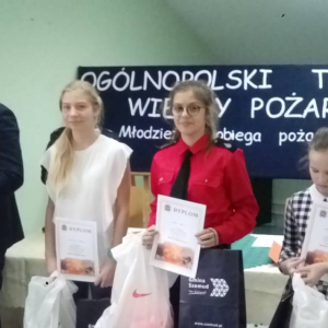pokaż obrazek - 