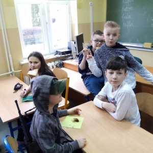 pokaż obrazek - 