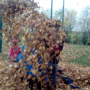 pokaż obrazek - 