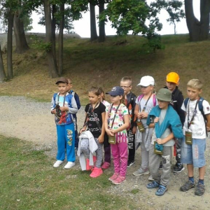 pokaż obrazek - 