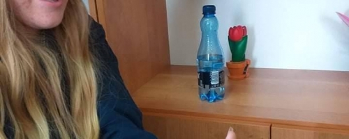 W naszej szkole zamieszkały patyczaki!
