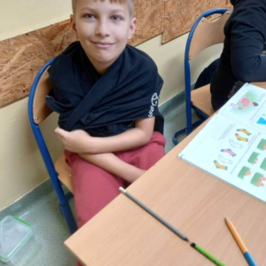 pokaż obrazek - 