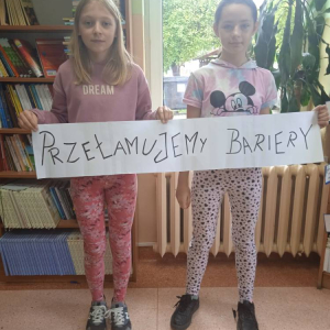 pokaż obrazek - 