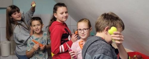 Projekt 