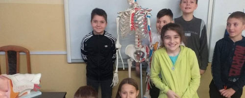 Lekcja przyrody z modelem szkieletu