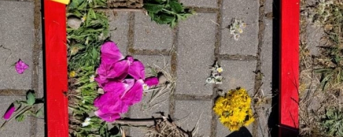 Migawki z zajęć rozwijających kreatywność