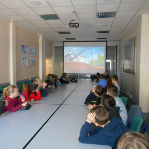 pokaż obrazek - 