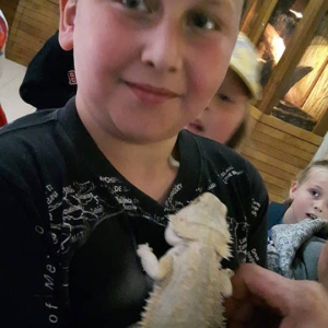 pokaż obrazek - 
