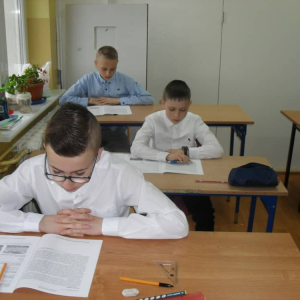 pokaż obrazek - 