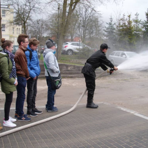 pokaż obrazek - 